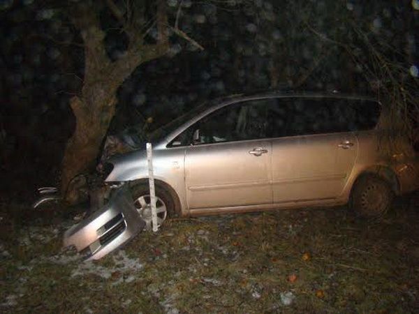 Prie Prienų moters vairuojamas “Avensis” trenkėsi į pakelės medį