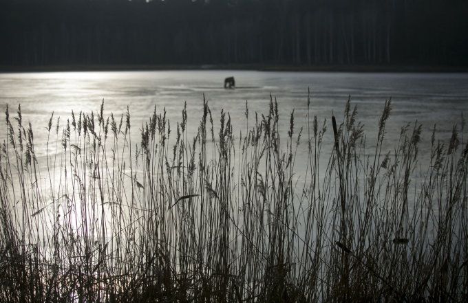 Druskininkų upėje skendo dvi mažametės ir jas gelbėjęs vyras; vienos būklė – kritinė