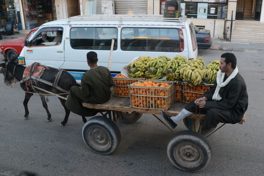 Hurgada iš arčiau. Dzūkiška patirtis (foto)