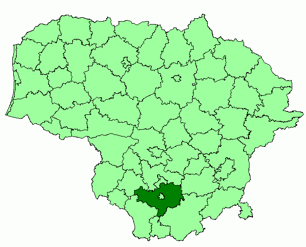 Alytaus rajono savivaldybė – skaidriausia