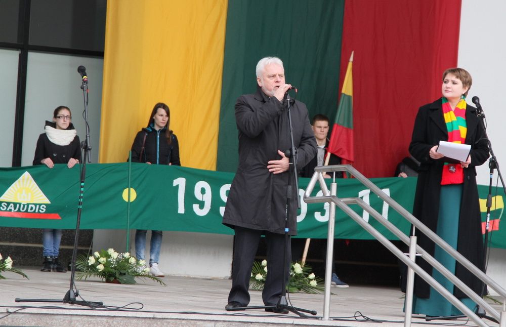 Kovo 11-osios minėjimas Alytuje (foto)