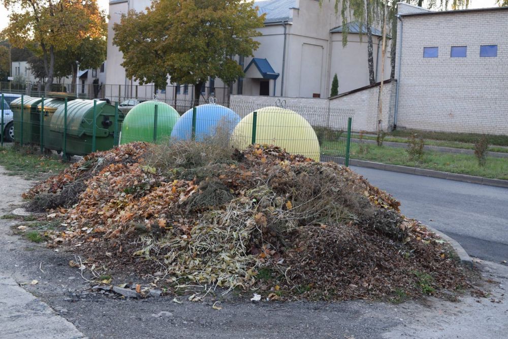 Priešingybė eskaluojamai tvarkai Alytuje