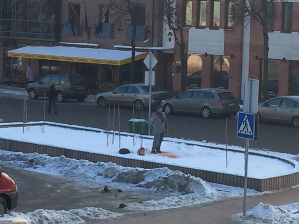 Po Alytaus savivaldybės langais vyras apsipylė kiaulės krauju