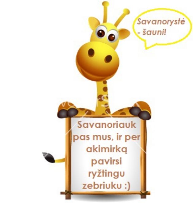 Alytaus rajono viešoji biblioteka laukia savanorių