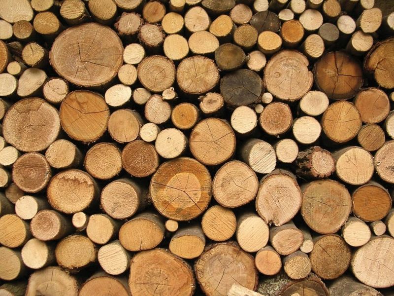 Pardavusieji medieną ar nenukirstą mišką mokestį turi sumokėti iki liepos 15-osios