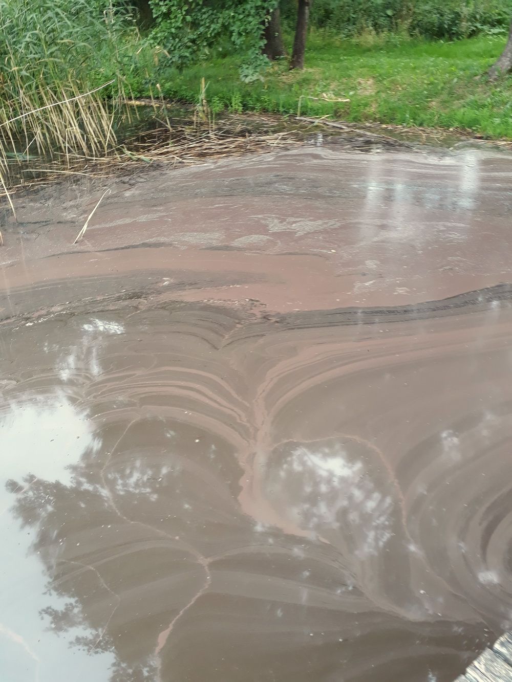 Daugų ežere maudytis galima ne visur…