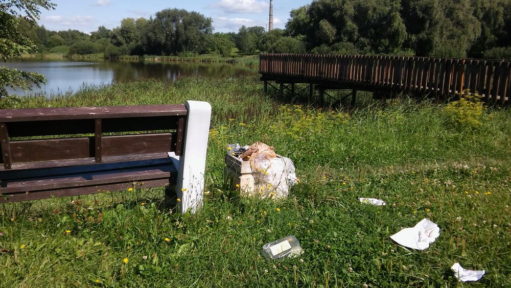 Prie Gulbynės šiukšles surinks tik žiema?