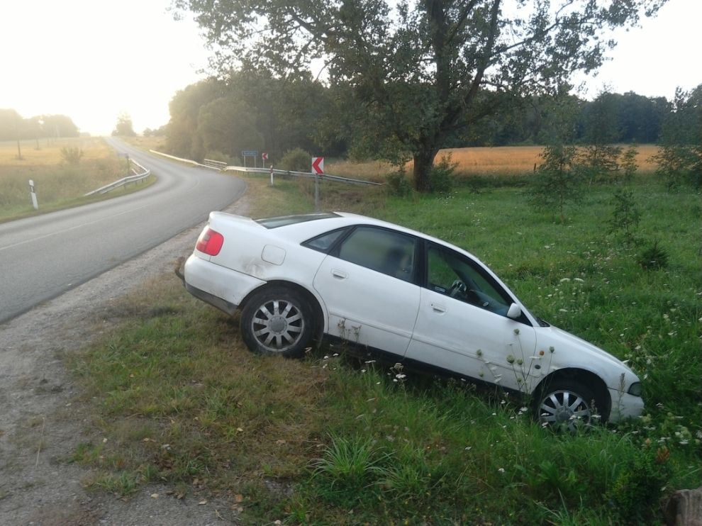 Prie Šventragio nuo kelio nuvažiavusi “Audi”