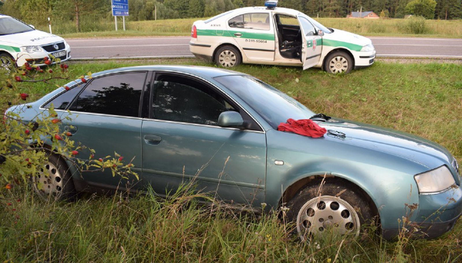 Lazdijų rajone tik su ežio pagalba sustabdytas Audi automobilis gabeno cigarečių kontrabandą