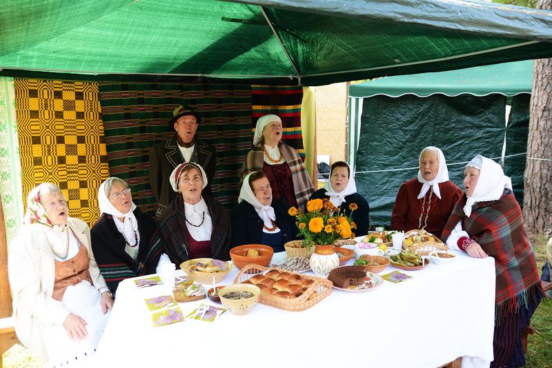 Varėnos grybų šventė 2017 (video)