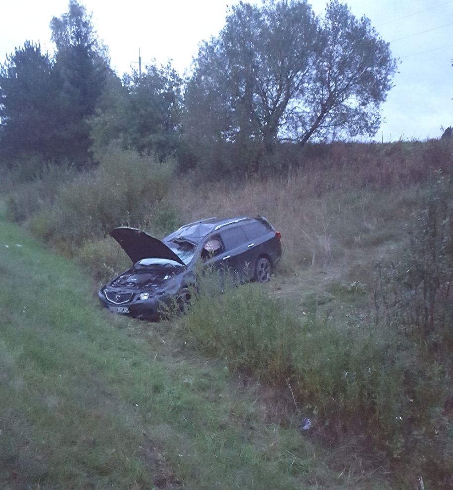 Prie Takniškių sąvartyno nuo kelio nulėkė Honda