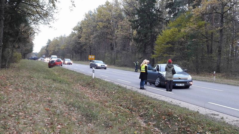 Dėl nedidelės avarijos nemaža spūstis prie Alytaus (foto)