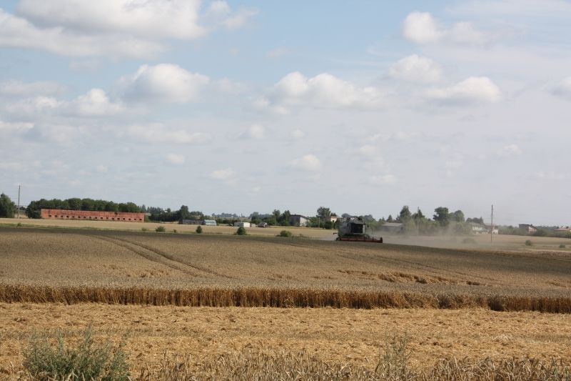 Ūkininkams pradėtos mokėti išmokos
