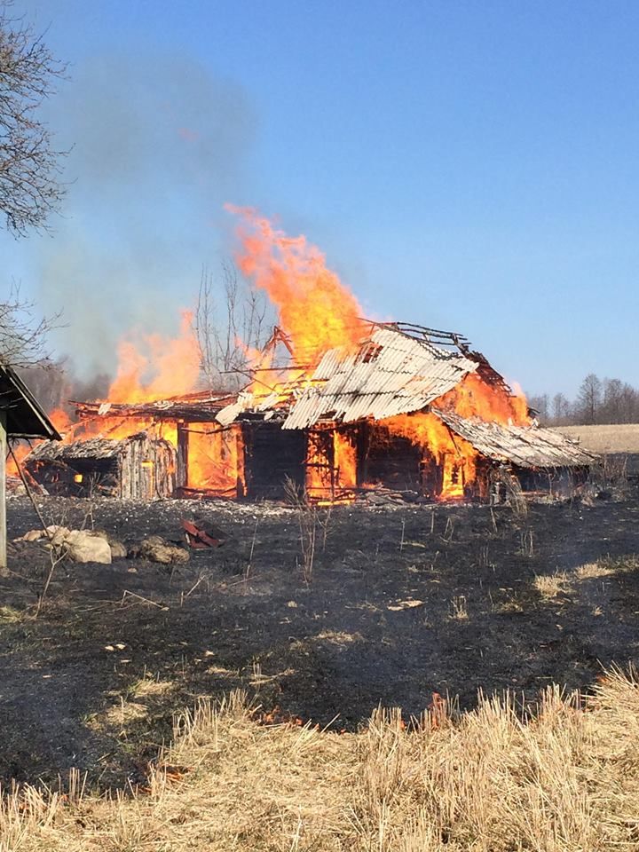 Kudariškių kaime liepsnojančios pievų žolės sunaikino negyvenamos sodybos ūkinį pastatą (foto)