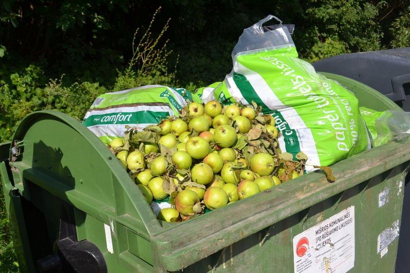 Akcija „Obuoliukas“ – be obuolių atliekų konteineriuose
