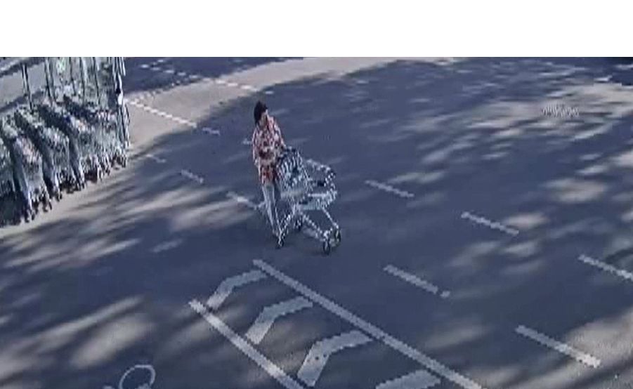 Policija ieško šios moters (video)