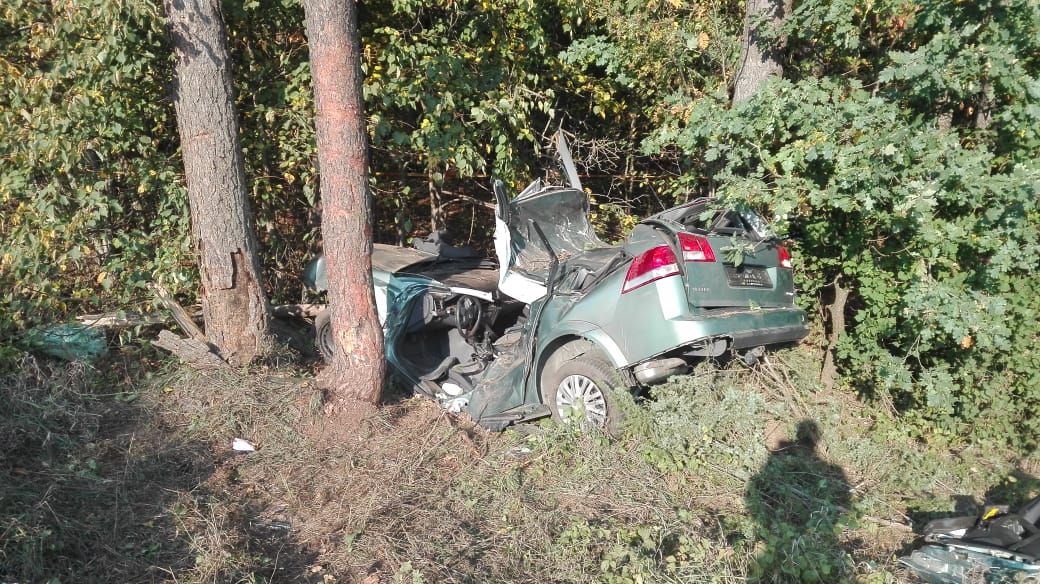 Prie Perlojos žuvo 18 metų vairuotojas