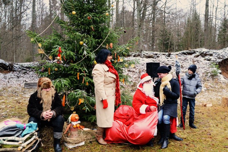 Varčios girios gyvūnijai ir vėl įžiebta Kalėdų eglutė! (foto+video)