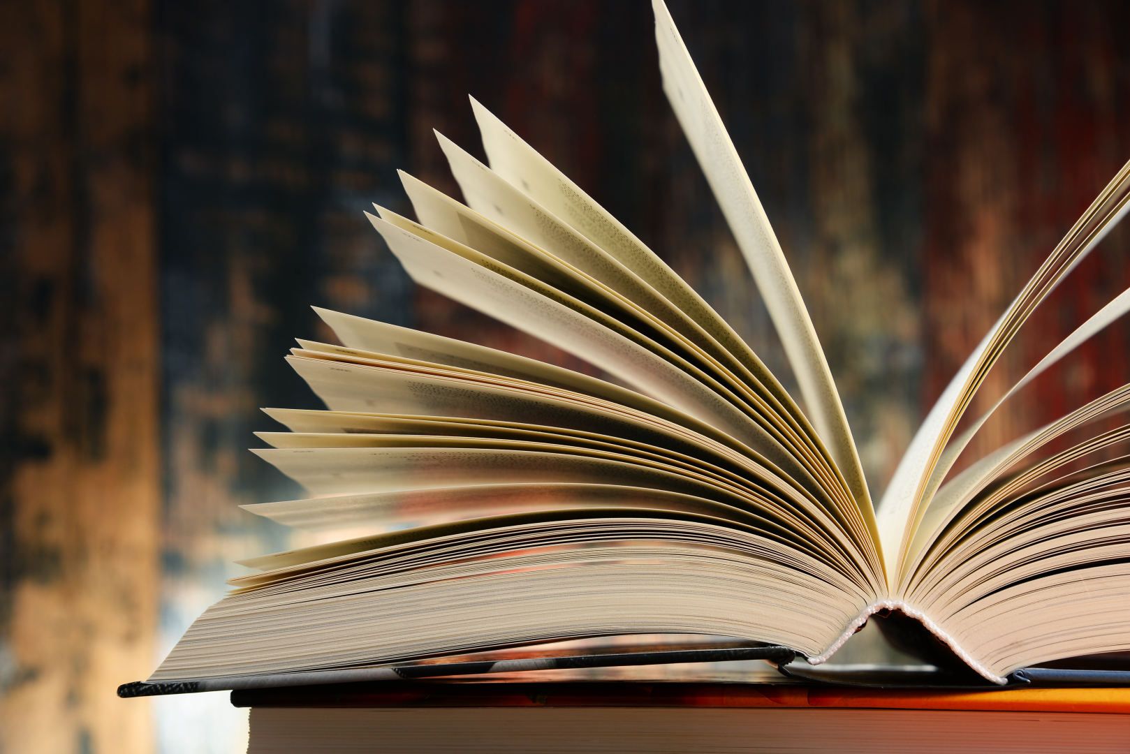 Išrinkti festivalio„Literatūrinės slinktys“ dalyviai