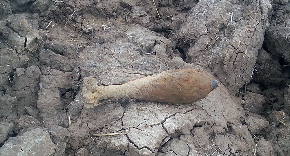 Ilgų kaime rasta minosvaidžio mina pralinksmino gyventojus