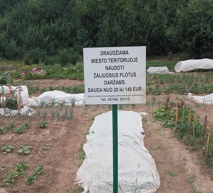 Įspėjama dėl nelegalių daržų Alytaus mieste
