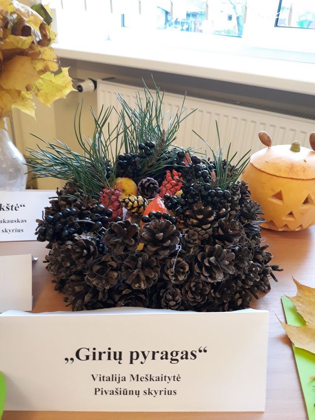 Edukacinė popietė „Kūrybinės inspiracijos. Rudeninių spalvų paletėje “Alytaus r. meno ir sporto mokykloje