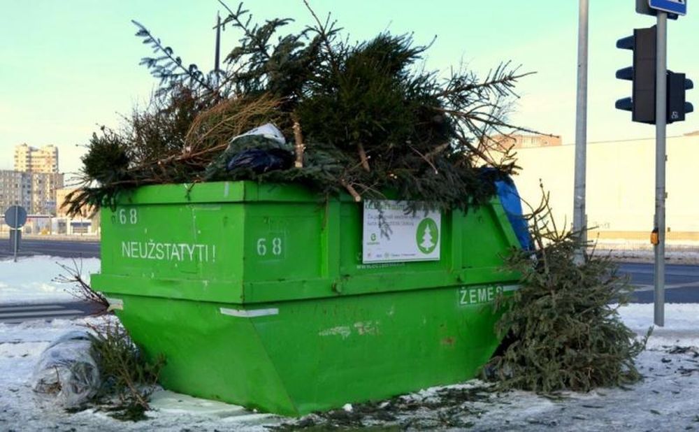 Kalėdų eglutė: gražiai buvo puošta, tegu nebus bet kaip išmesta!