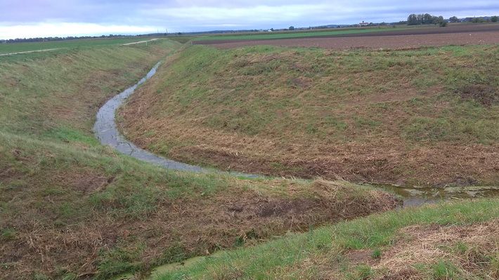 Alytaus rajone bus suremontuoti dviejų kadastrinių vietovių melioracijos grioviai