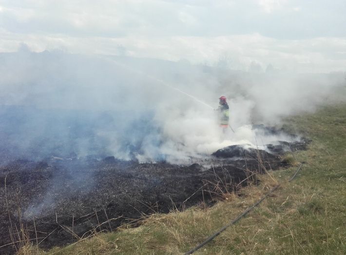Gaisrai vyko prie Balbieriškio, Pagurnių ir Ryliškių kaimuose (foto)